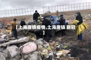 【上海唐镇疫情,上海唐镇 新冠】