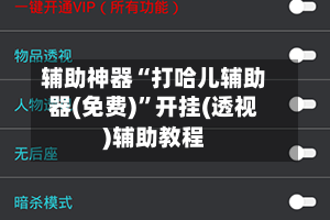 辅助神器“打哈儿辅助器(免费)”开挂(透视)辅助教程