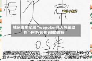 独家脚本实测“wepoker私人局辅助挂”开挂(透视)辅助教程