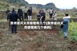 贵州省兴义市疫情有几个(贵州省兴义市疫情有几个病例)