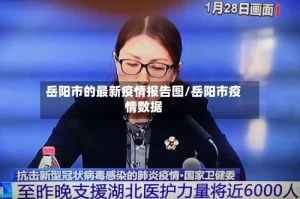 岳阳市的最新疫情报告图/岳阳市疫情数据