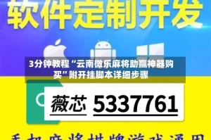 3分钟教程“云南微乐麻将助赢神器购买”附开挂脚本详细步骤