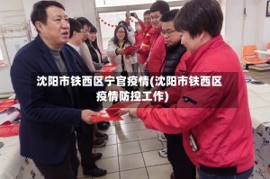 沈阳市铁西区宁官疫情(沈阳市铁西区疫情防控工作)