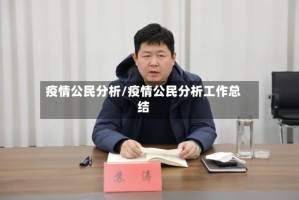 疫情公民分析/疫情公民分析工作总结