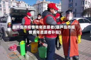 葫芦岛市疫情青年志愿者(葫芦岛市疫情青年志愿者补贴)