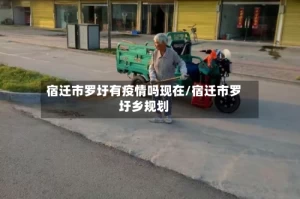 宿迁市罗圩有疫情吗现在/宿迁市罗圩乡规划