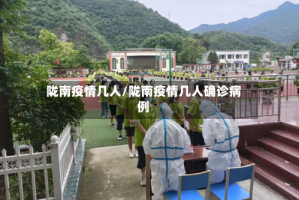 陇南疫情几人/陇南疫情几人确诊病例