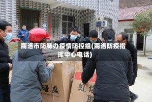 商洛市防肺办疫情防控组(商洛防疫指挥中心电话)