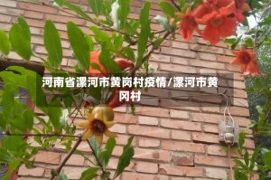河南省漯河市黄岗村疫情/漯河市黄冈村
