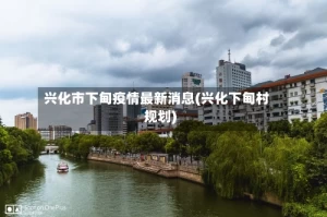 兴化市下甸疫情最新消息(兴化下甸村规划)