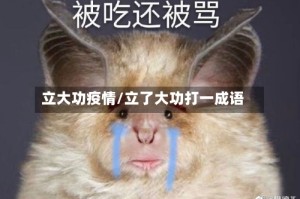 立大功疫情/立了大功打一成语