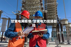 甘肃电网疫情/甘肃电力现场管控