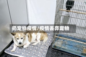 扔宠物疫情/疫情丢弃宠物
