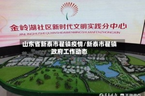 山东省新泰市翟镇疫情/新泰市翟镇政府工作动态
