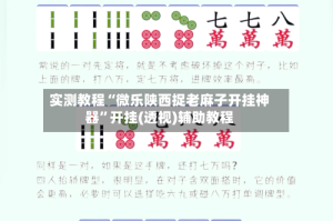 实测教程“微乐陕西捉老麻子开挂神器”开挂(透视)辅助教程