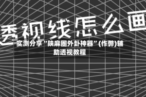 实测分享“陕麻圈外卦神器”(作弊)辅助透视教程