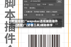 [教程经验]“wepoker透视辅助插件(透视)”(必备工具)辅助教学
