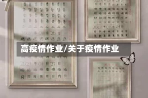 高疫情作业/关于疫情作业