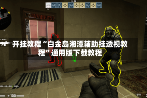 开挂教程“白金岛湘潭辅助挂透视教程”通用版下载教程