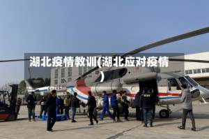 湖北疫情教训(湖北应对疫情)