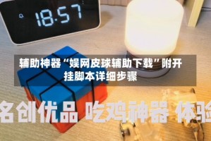 辅助神器“娱网皮球辅助下载”附开挂脚本详细步骤