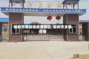 榆树市黑林镇疫情管控/榆树市乡镇疫情