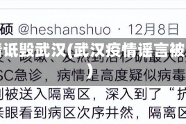 疫情诋毁武汉(武汉疫情谣言被拘)