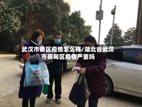 武汉市蔡区疫情怎么样/湖北省武汉市蔡甸区疫情严重吗-第3张图片