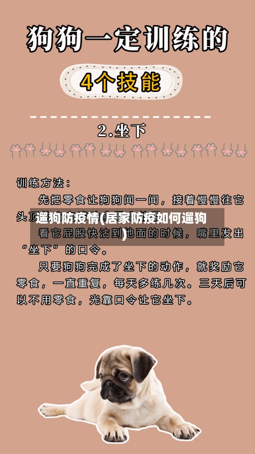 遛狗防疫情(居家防疫如何遛狗)-第1张图片