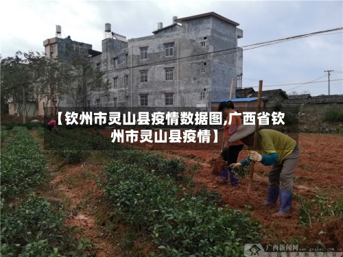 【钦州市灵山县疫情数据图,广西省钦州市灵山县疫情】-第3张图片