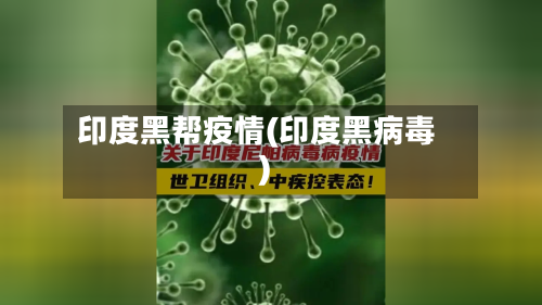 印度黑帮疫情(印度黑病毒)-第2张图片