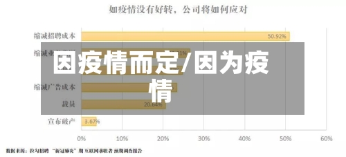 因疫情而定/因为疫情-第2张图片