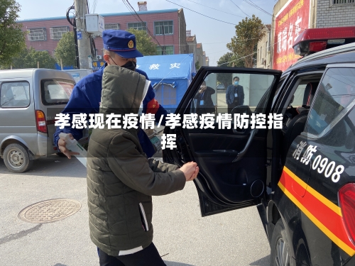 孝感现在疫情/孝感疫情防控指挥-第3张图片