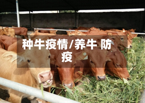种牛疫情/养牛 防疫-第1张图片