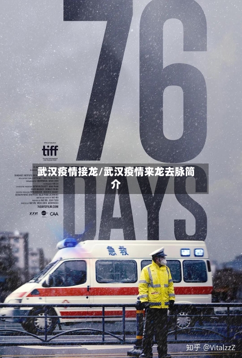 武汉疫情接龙/武汉疫情来龙去脉简介-第2张图片