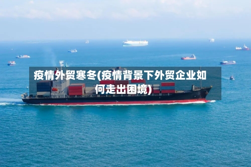 疫情外贸寒冬(疫情背景下外贸企业如何走出困境)-第3张图片