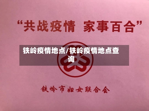 铁岭疫情地点/铁岭疫情地点查询-第2张图片