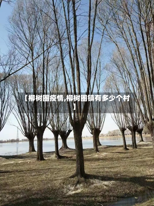 【柳树圈疫情,柳树圈镇有多少个村】-第2张图片