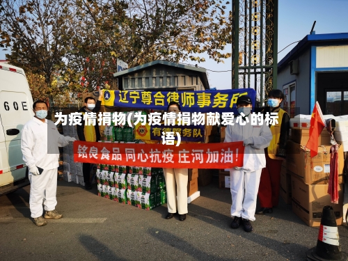 为疫情捐物(为疫情捐物献爱心的标语)-第2张图片