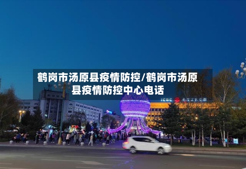 鹤岗市汤原县疫情防控/鹤岗市汤原县疫情防控中心电话-第1张图片