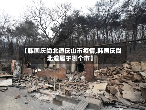 【韩国庆尚北道庆山市疫情,韩国庆尚北道属于哪个市】-第1张图片