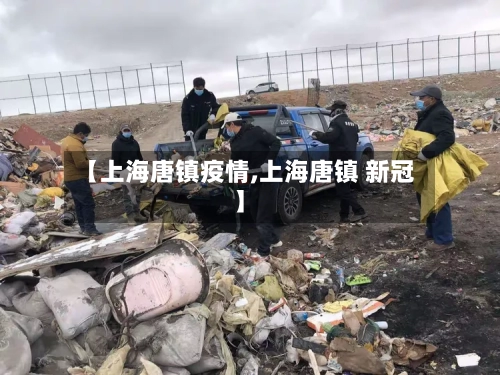 【上海唐镇疫情,上海唐镇 新冠】-第1张图片