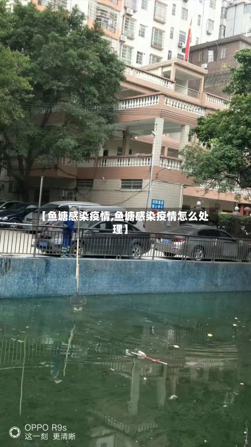【鱼塘感染疫情,鱼塘感染疫情怎么处理】-第1张图片