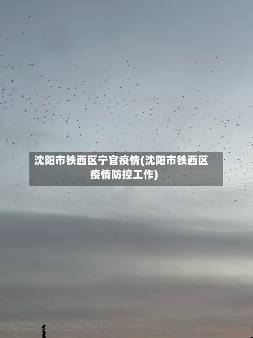 沈阳市铁西区宁官疫情(沈阳市铁西区疫情防控工作)-第2张图片