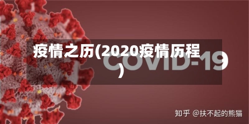 疫情之历(2020疫情历程)-第2张图片