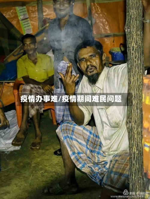 疫情办事难/疫情期间难民问题-第3张图片