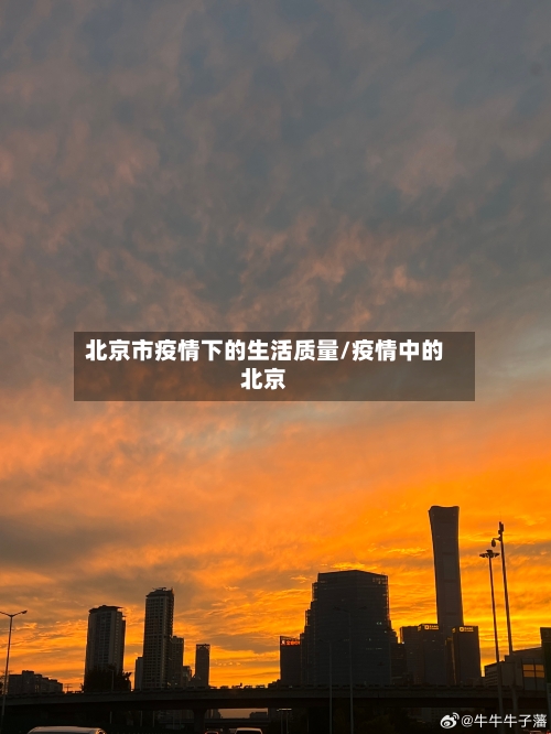 北京市疫情下的生活质量/疫情中的北京-第3张图片