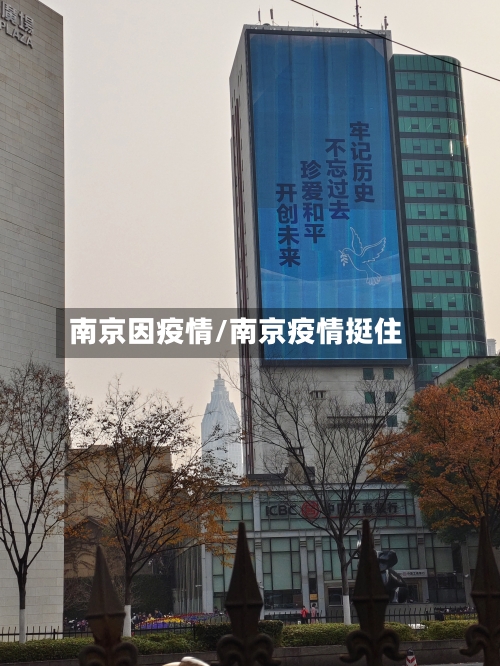 南京因疫情/南京疫情挺住-第1张图片