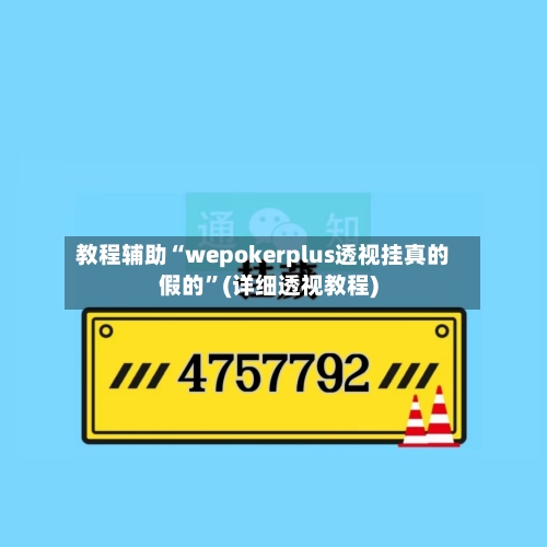 教程辅助“wepokerplus透视挂真的假的”(详细透视教程)-第3张图片