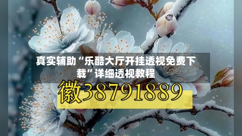 真实辅助“乐酷大厅开挂透视免费下载”详细透视教程-第2张图片